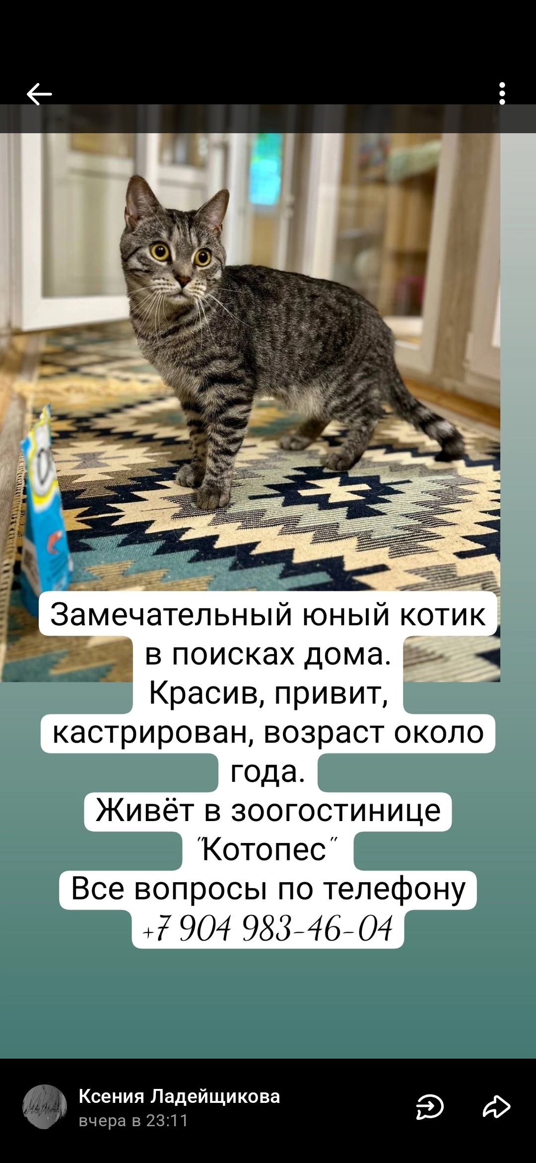Screenshot_2026-07-17-01-46-11-808_com.vkontakte.android